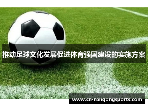 推动足球文化发展促进体育强国建设的实施方案