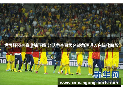 世界杯预选赛激战正酣 各队争夺晋级名额角逐进入白热化阶段