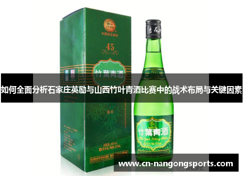 如何全面分析石家庄英励与山西竹叶青酒比赛中的战术布局与关键因素